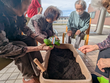 ★白菜キャベツ (10)(1).jpg