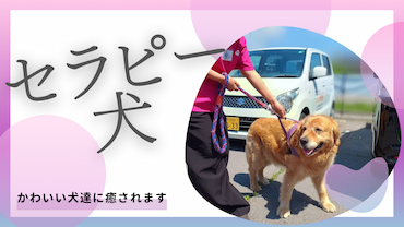 ブログサムネイル (1).jpg