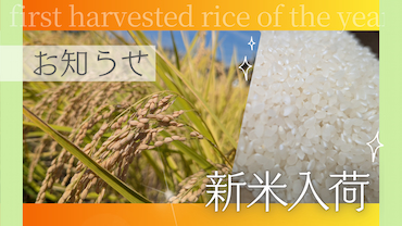新米サムネイル.jpg