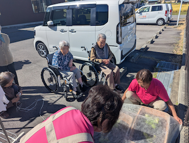 白菜キャベツ (1).jpg