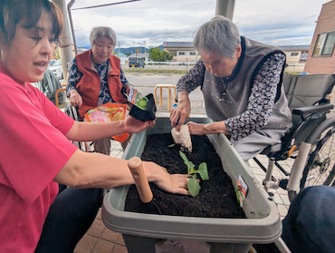 白菜キャベツ (11).jpg