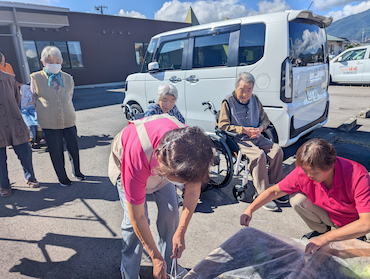 白菜キャベツ (2).jpg