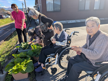 白菜キャベツ (3)(1).jpg