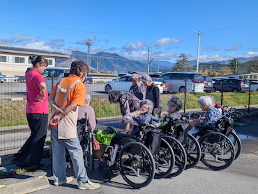 白菜キャベツ (7).jpg